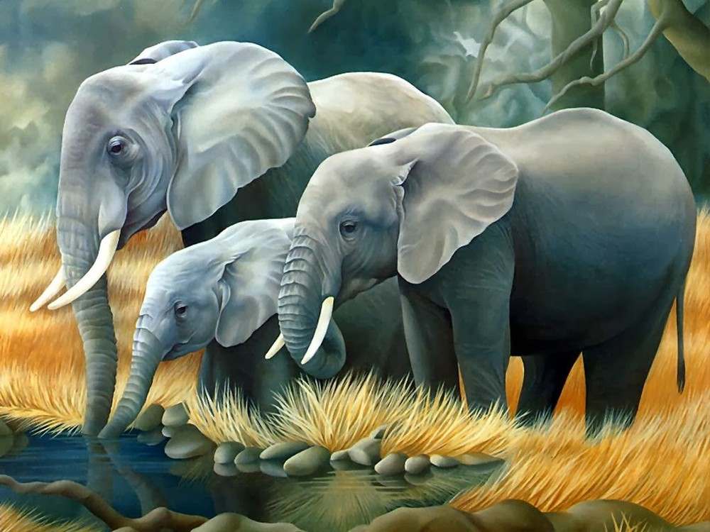 Раскраски по номерам «Слоны»
