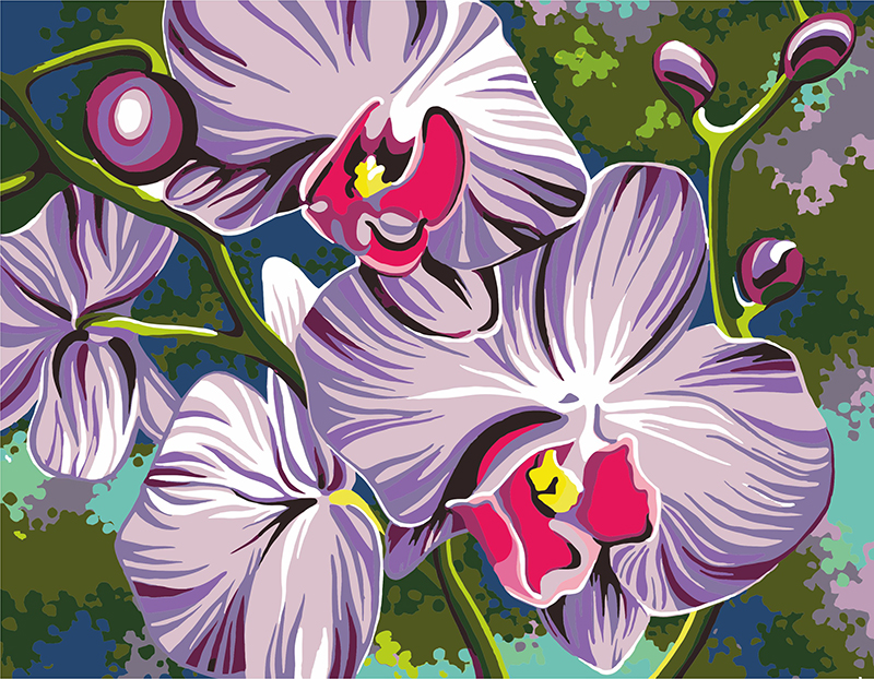 Раскраски по номерам «Орхидеи»