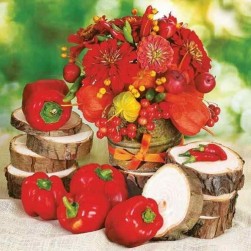 SLOG039001, салфетка для декупажа 33х33 см