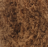 Koala (Himalaya) 75738 карамель, пряжа 100г