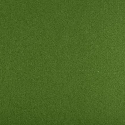 FKS12-33/53 865 св.зеленый фетр Premium класса