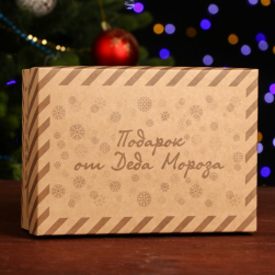 9139704 &quot;Посылка от Деда Мороза&quot; коробка подарочная 24х17х8 см