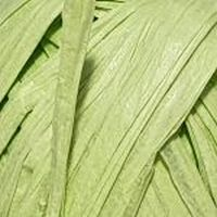 Raffia (Artland) 10 салат 40г