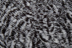 Dolphin Animal Colors (Himalaya) 83109 снежный барс, пряжа 100г