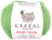 Baby wool (Gazzal) 821 светлый салат, пряжа 50г