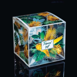 5184706 &quot;Tropical gift&quot; коробка подарочная 12х12х12 см