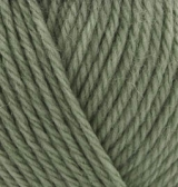 Wooltime (Alize) 274 артишок, пряжа 100г