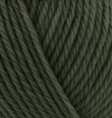 Wooltime (Alize) 873 плющ, пряжа 100г