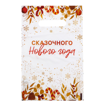 9803237 &quot;Сказочного Нового Года&quot; пакет 20х30 см