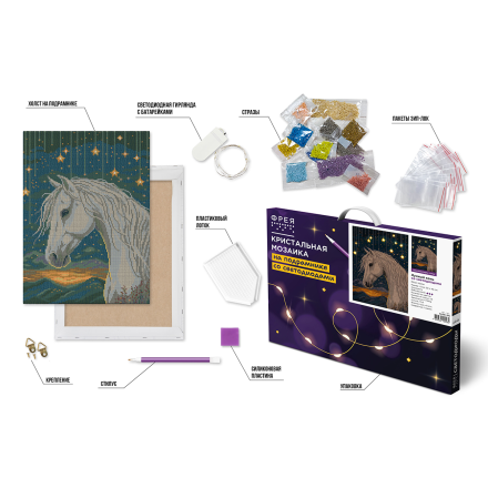 ALDD-315 &quot;Лунный конь&quot; алмазная мозаика со светодиодами на подрамнике 30х40 см