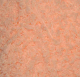 Toffee Baby (Himalaya) 78107 персик, пряжа 50г
