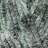 Dolphin Tweed (Himalaya) 92013 хаки, пряжа 100г
