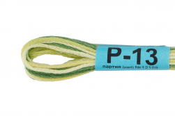 Р-13 т.зеленый-яр.желтый, нитки мулине меланж Gamma 8м