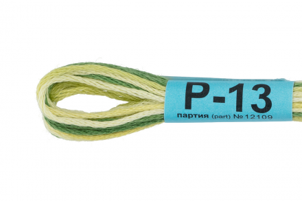 Р-13 т.зеленый-яр.желтый, нитки мулине меланж Gamma 8м
