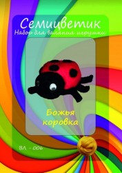 ВЛ-006 Набор для валяния &quot;Божья Коровка&quot;