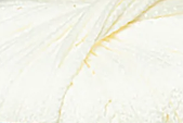 Bikini (Himalaya) 80614 молочный, пряжа 50г