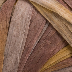Raffia Multi (Fibra Natura) 117-04 коричневый-горчица, пряжа 35г